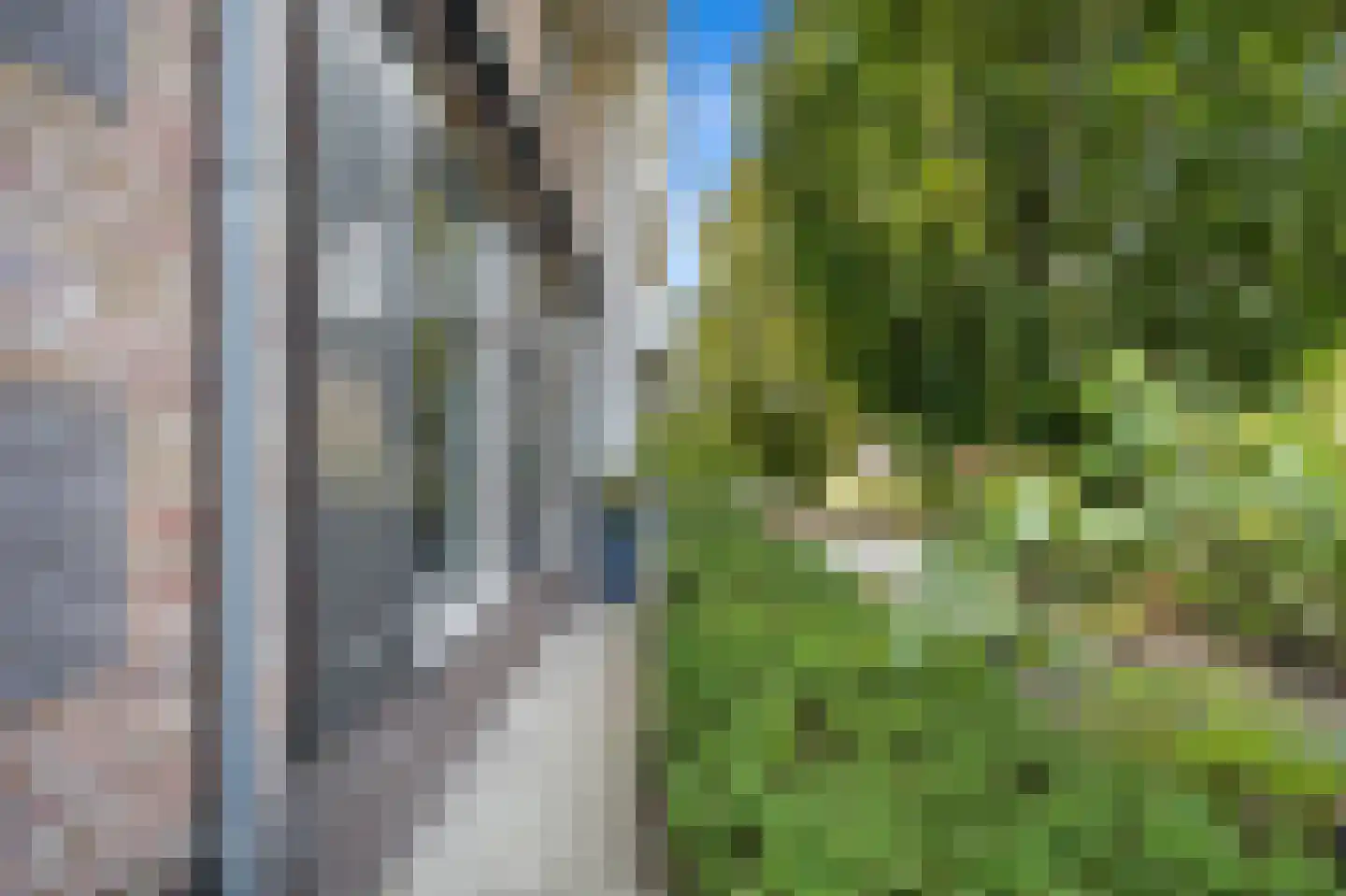 Tedingerbroekweg 25 Nootdorp thumbnail 76