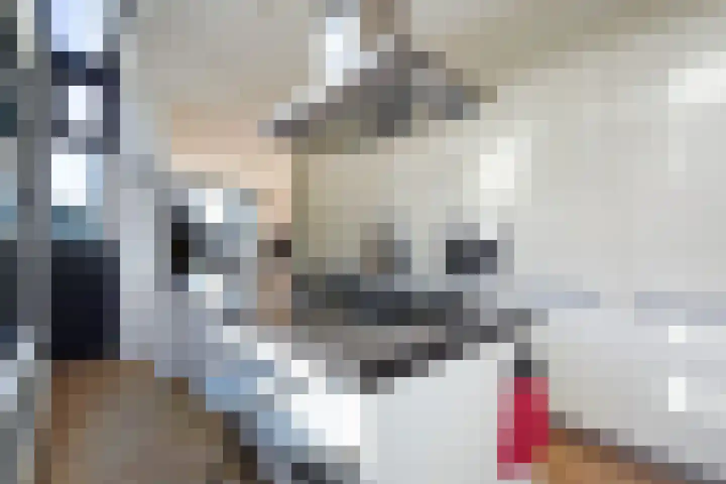 Tedingeroord 23 Den Haag thumbnail 10