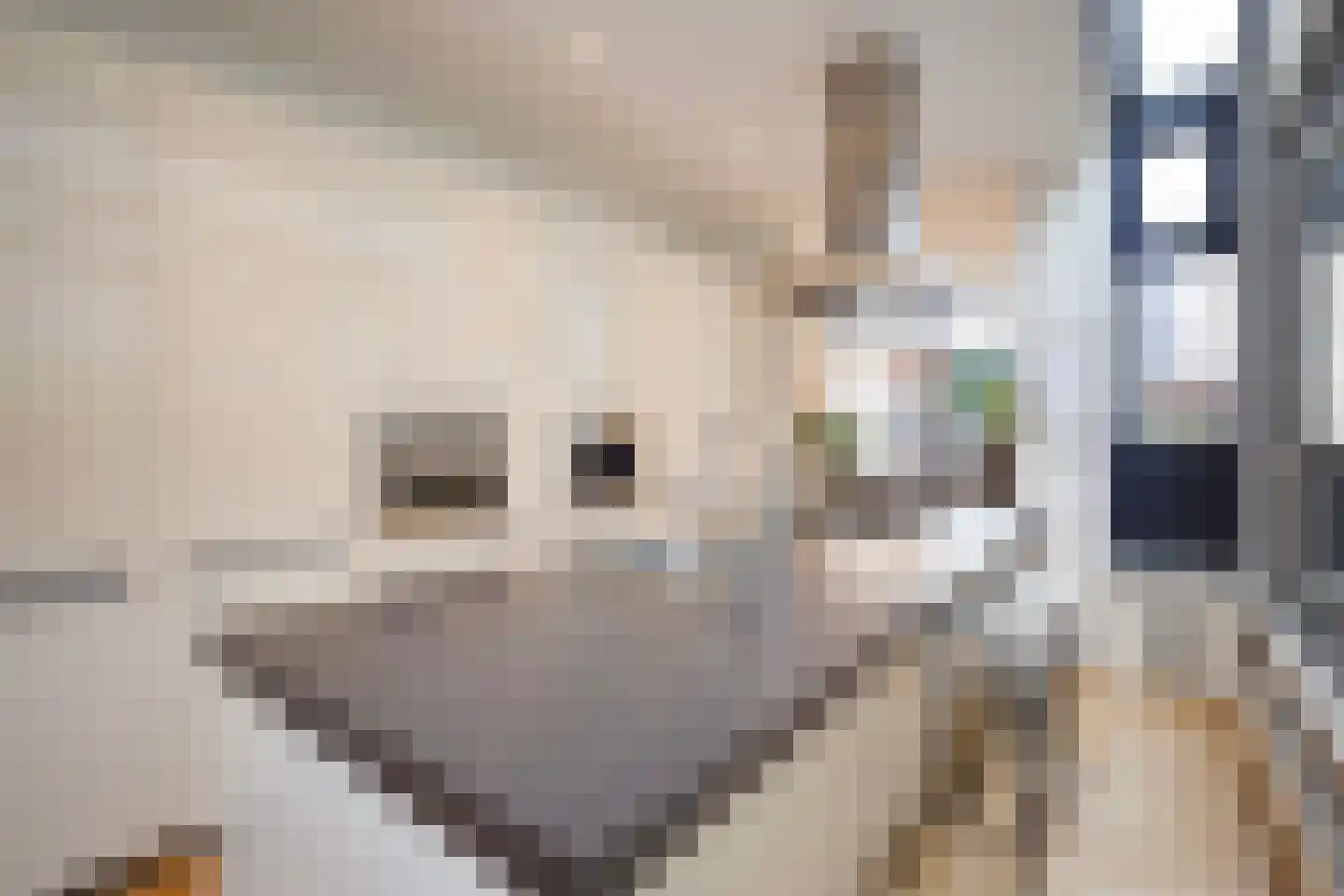 Tedingeroord 23 Den Haag thumbnail 11