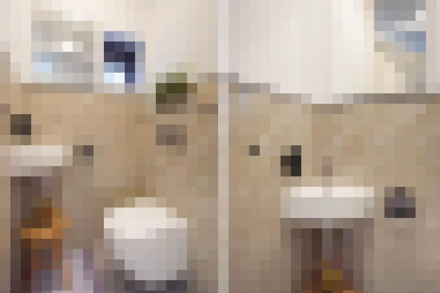 Tedingeroord 23 Den Haag thumbnail 17