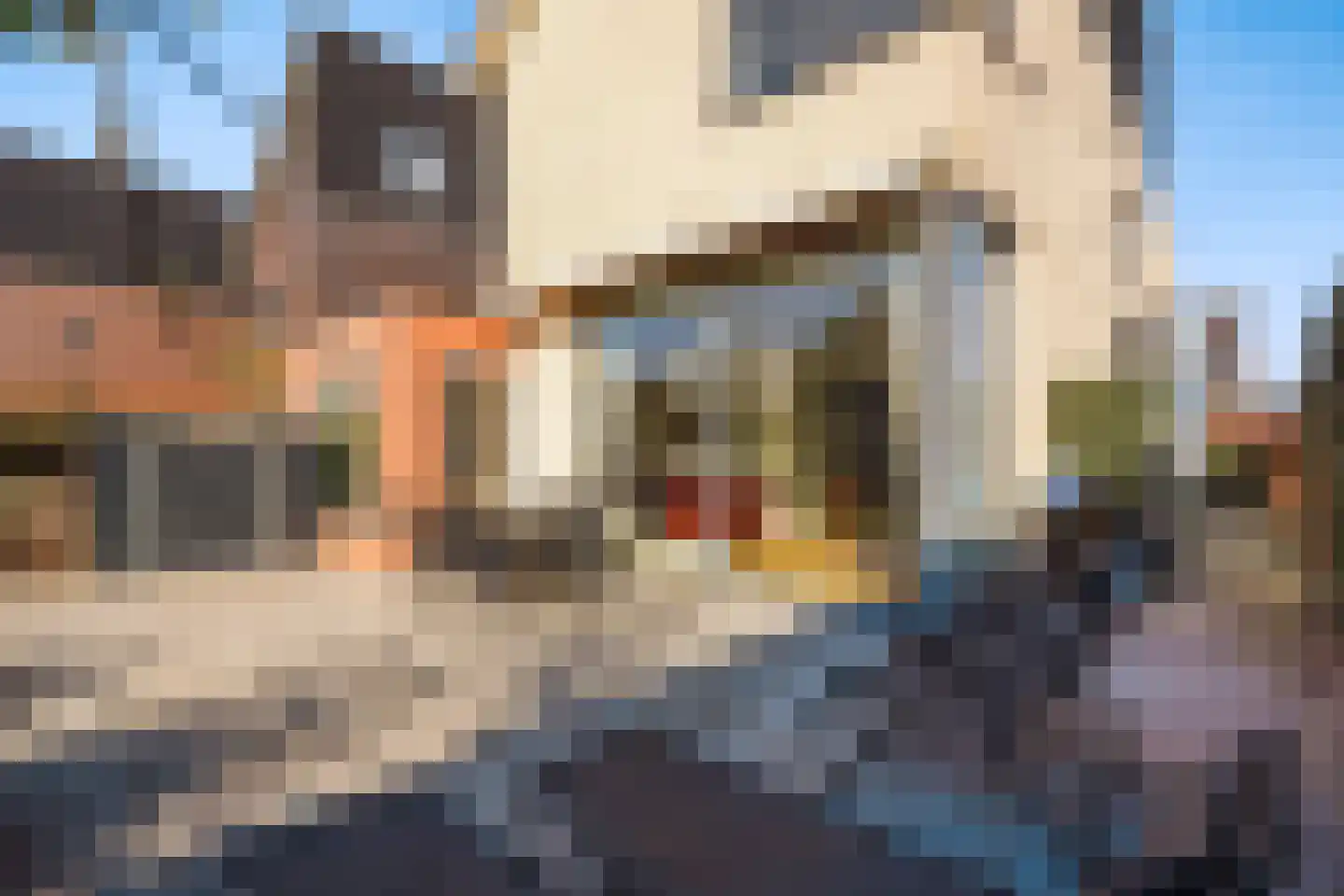 Tedingeroord 23 Den Haag thumbnail 20