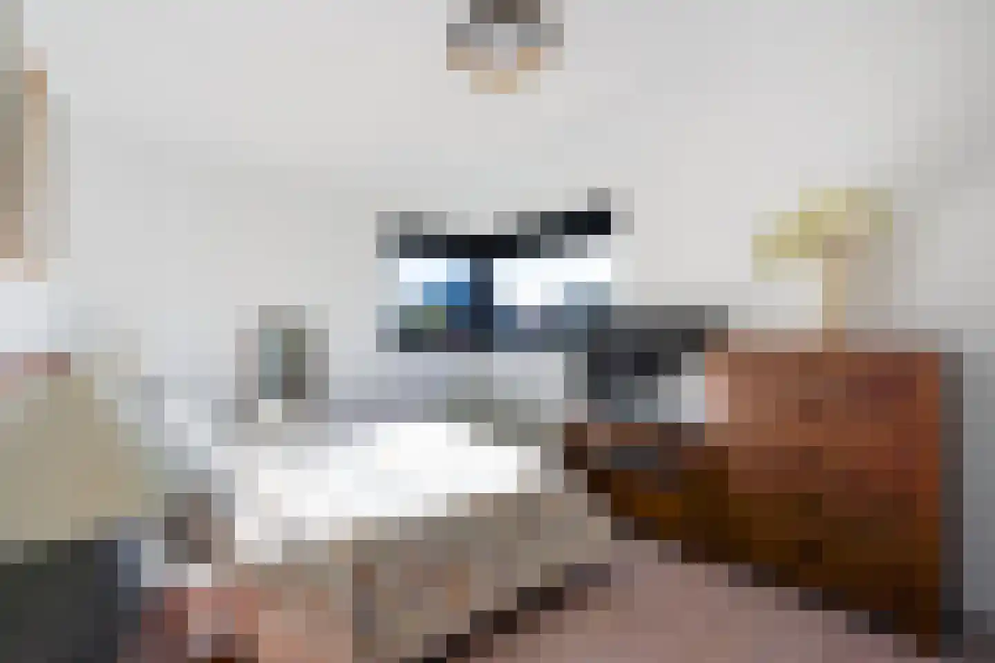 Tedingeroord 23 Den Haag thumbnail 25