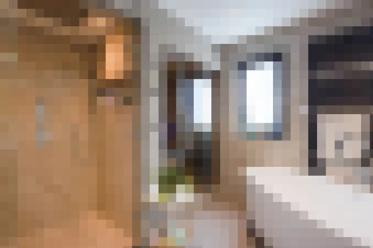 Tedingeroord 23 Den Haag thumbnail 27