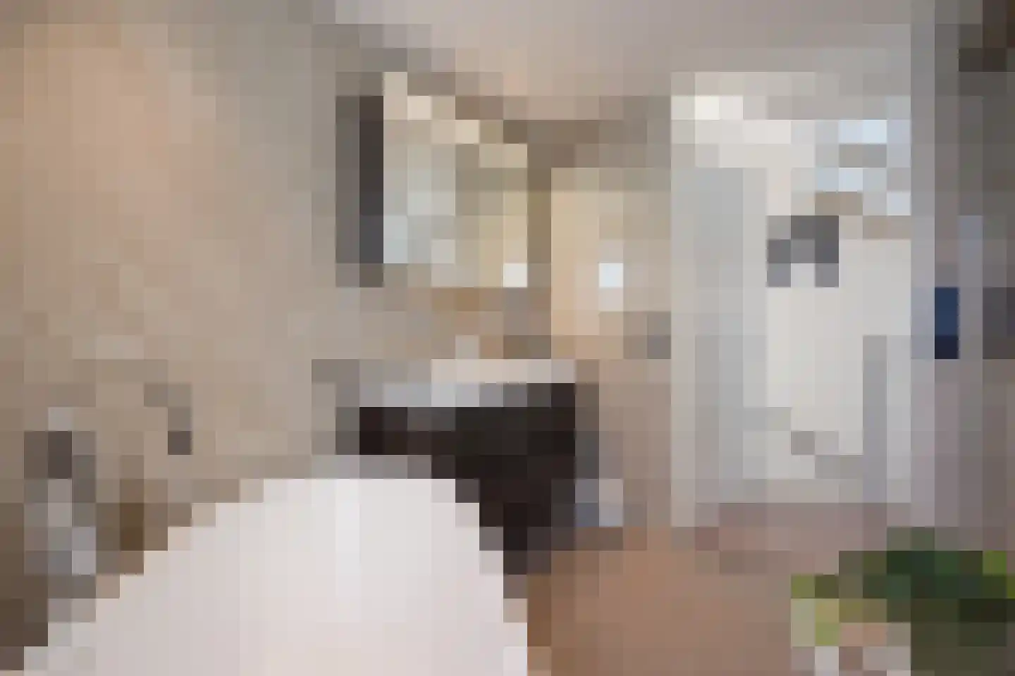 Tedingeroord 23 Den Haag thumbnail 28