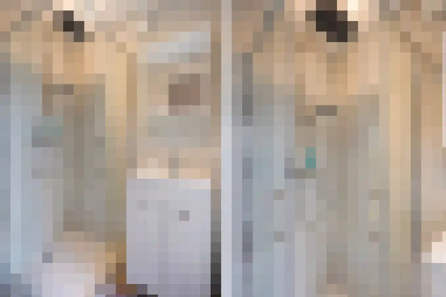 Tedingeroord 23 Den Haag thumbnail 31