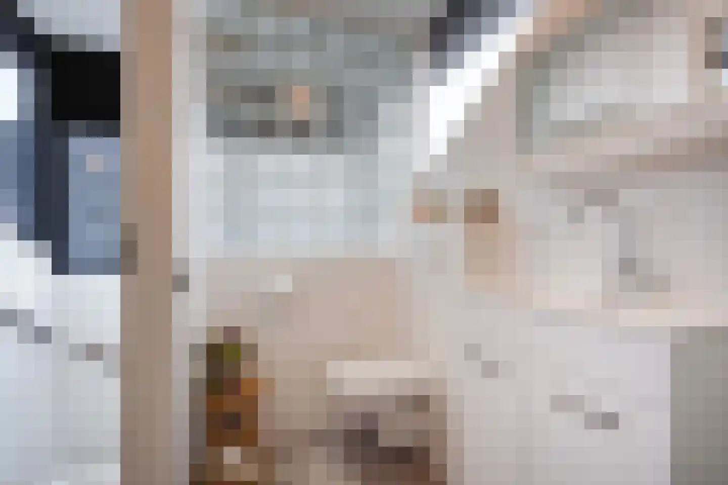 Tedingeroord 23 Den Haag thumbnail 38