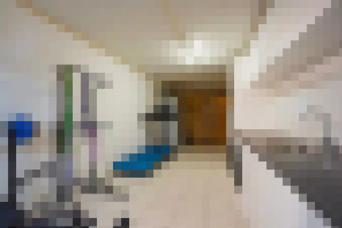 Tedingeroord 23 Den Haag thumbnail 40