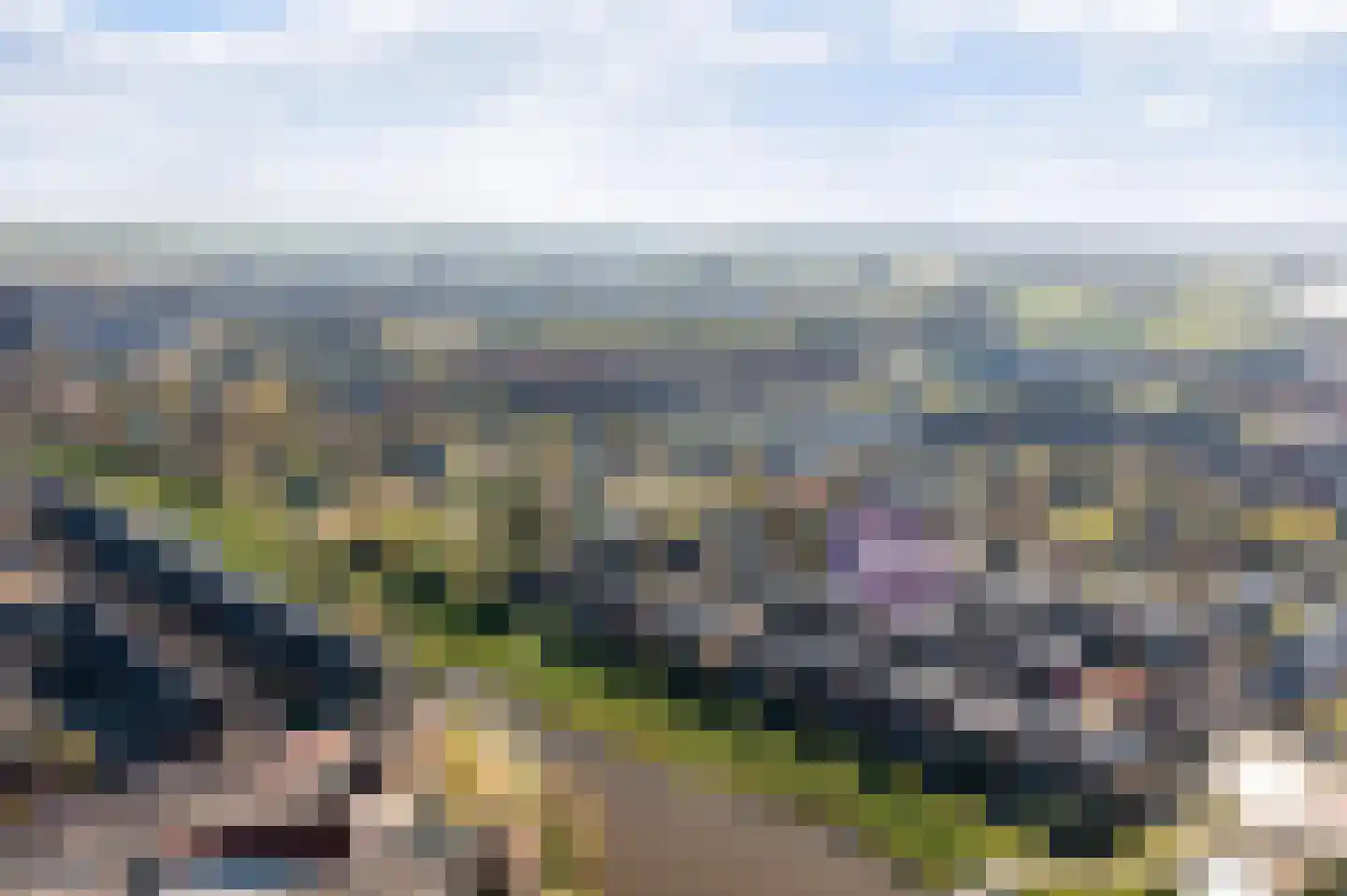 Tedingeroord 23 Den Haag thumbnail 45