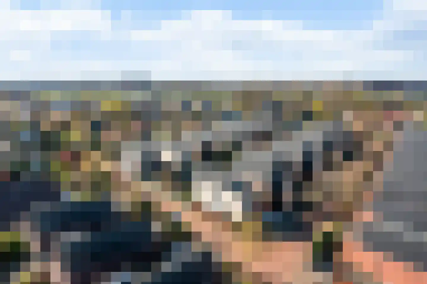 Tedingeroord 23 Den Haag thumbnail 46
