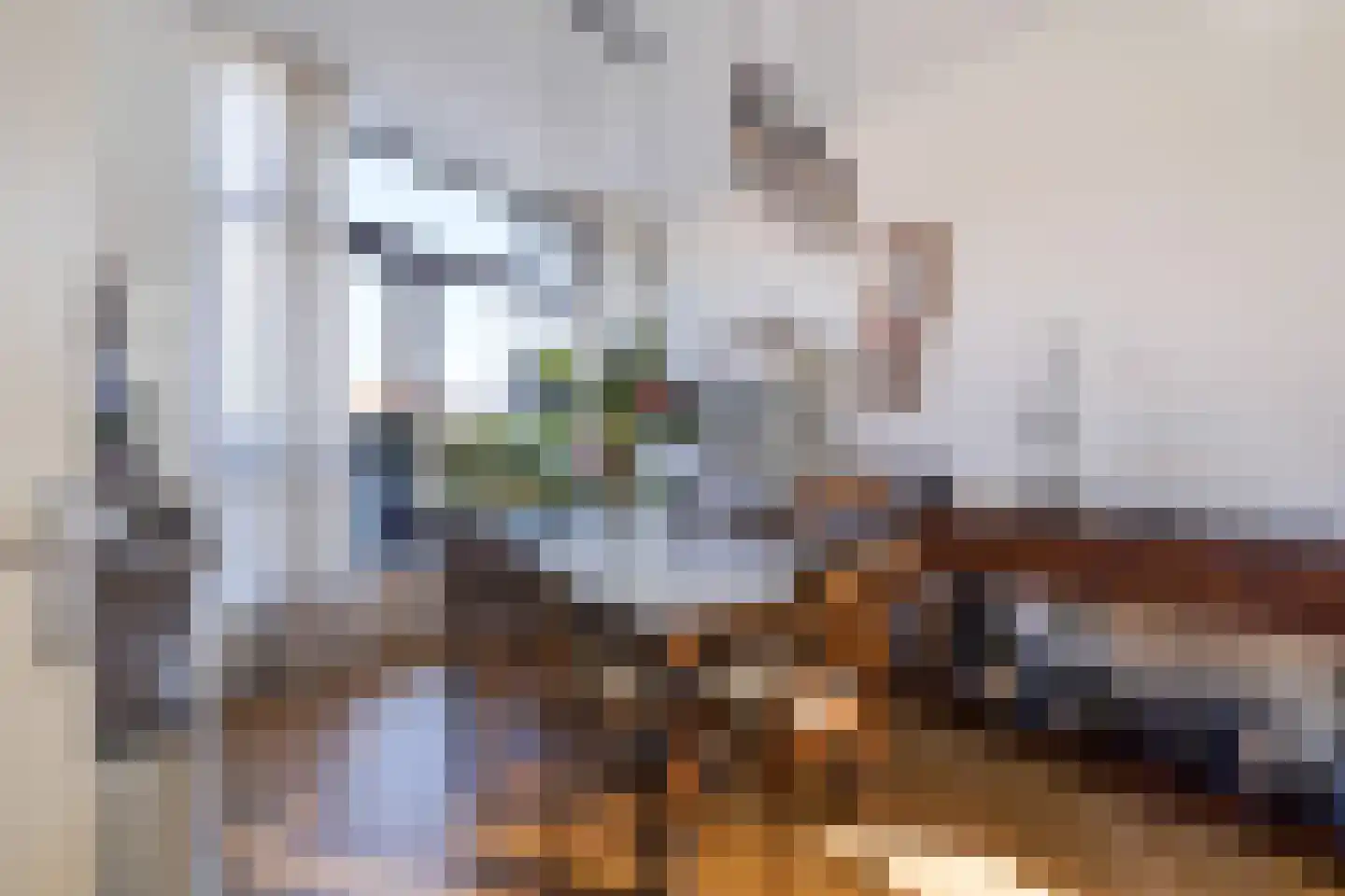 Tedingeroord 23 Den Haag thumbnail 7