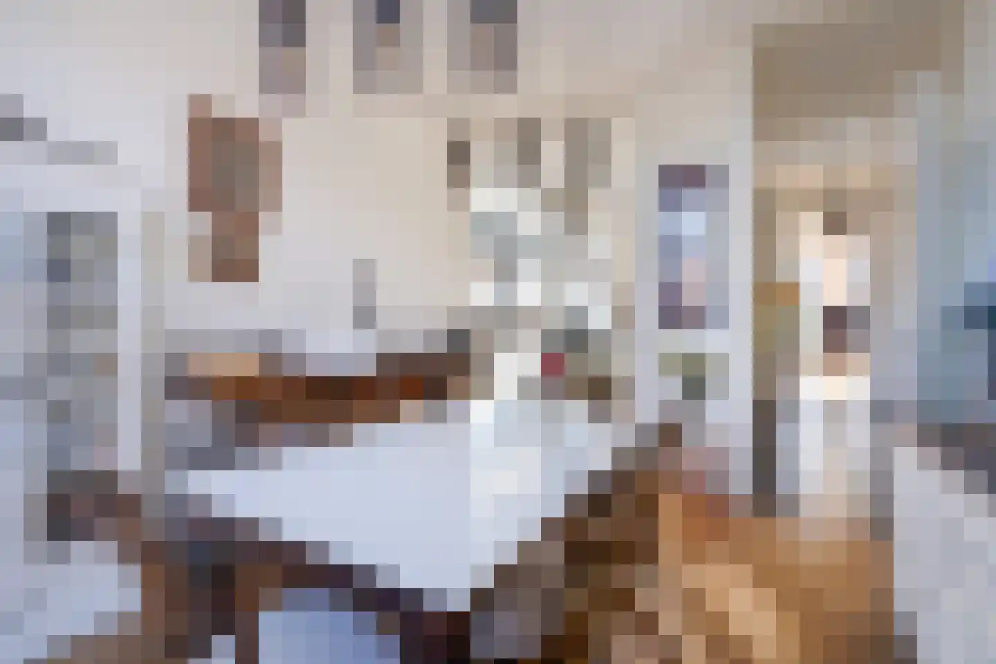 Tedingeroord 23 Den Haag thumbnail 8
