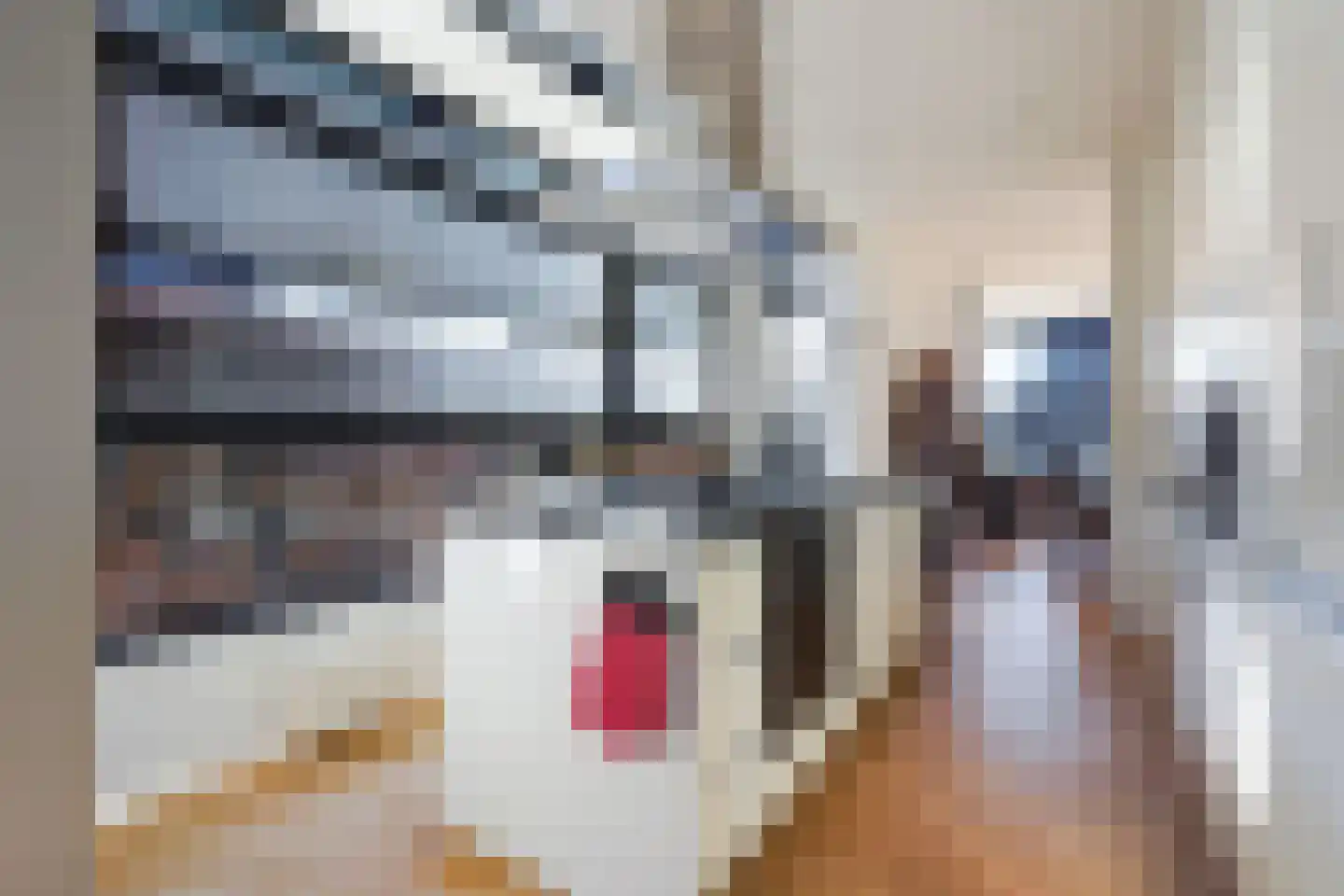 Tedingeroord 23 Den Haag thumbnail 9