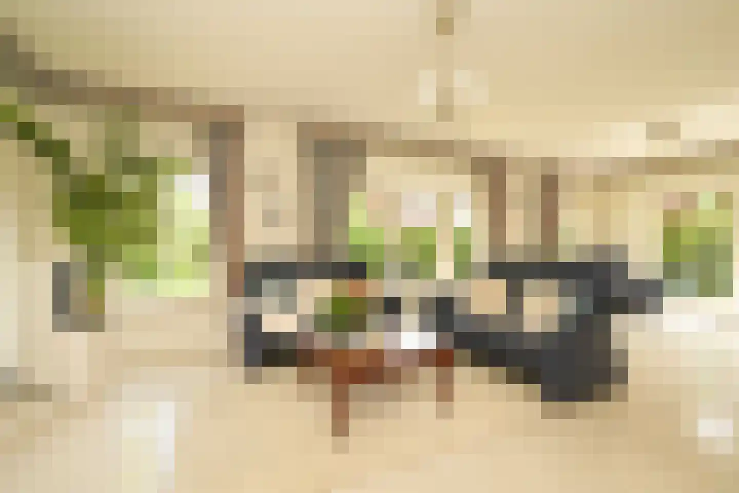 Tedingeroord 42 Den Haag thumbnail 11