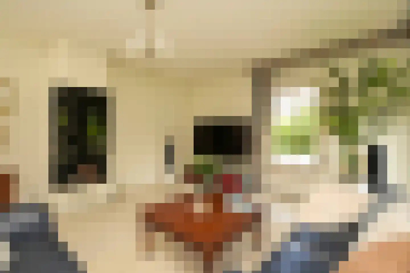 Tedingeroord 42 Den Haag thumbnail 13
