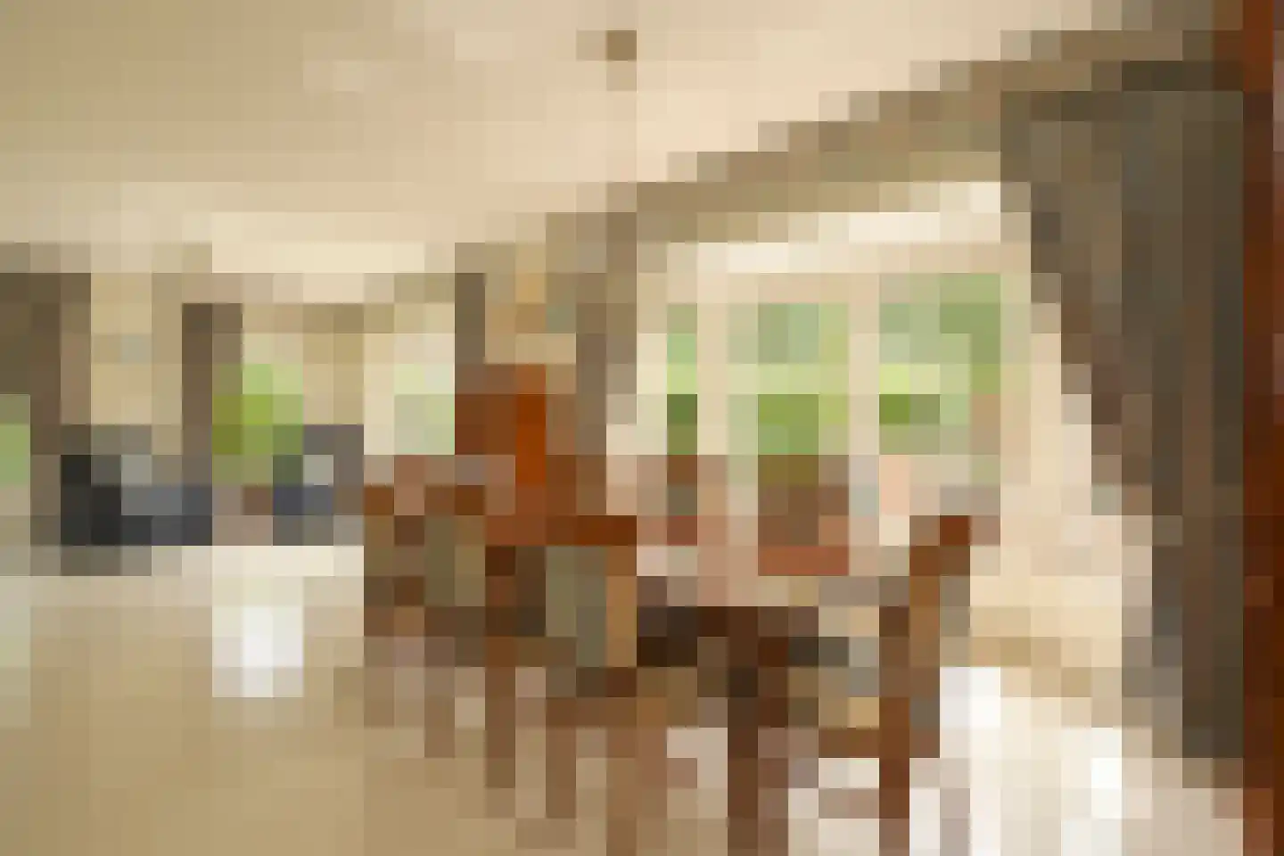 Tedingeroord 42 Den Haag thumbnail 17