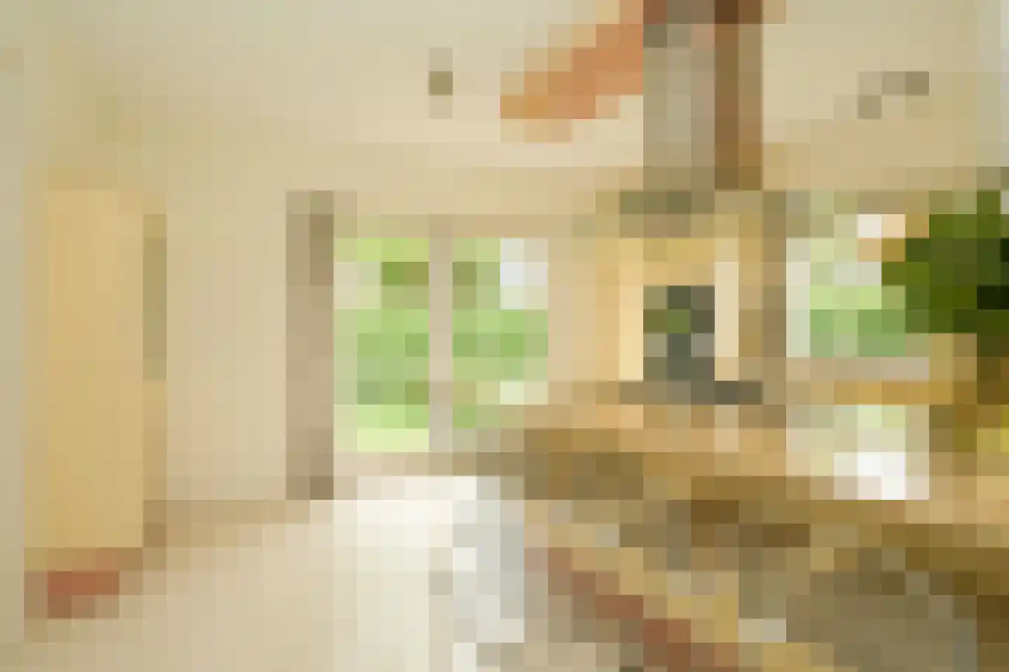 Tedingeroord 42 Den Haag thumbnail 19