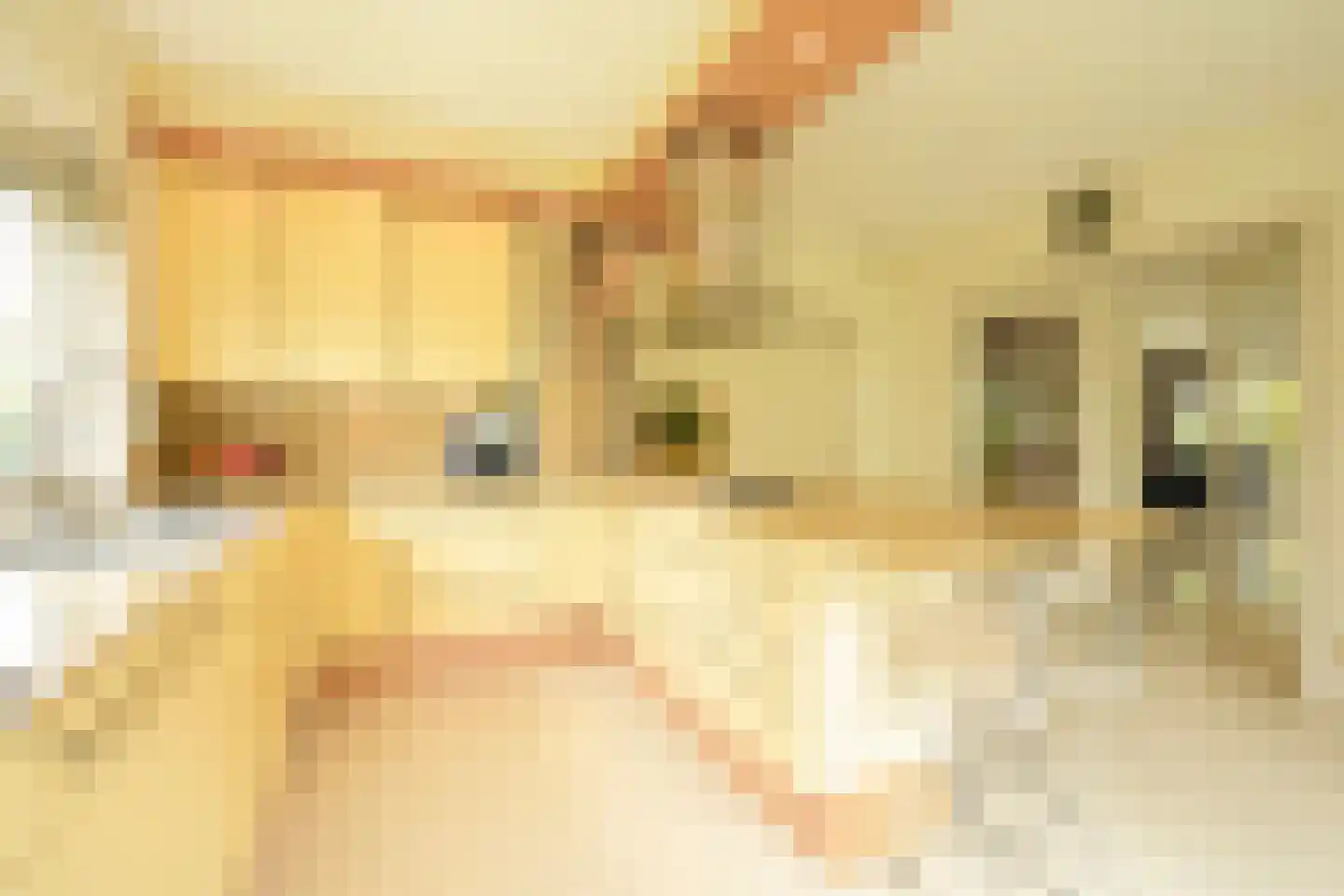 Tedingeroord 42 Den Haag thumbnail 20