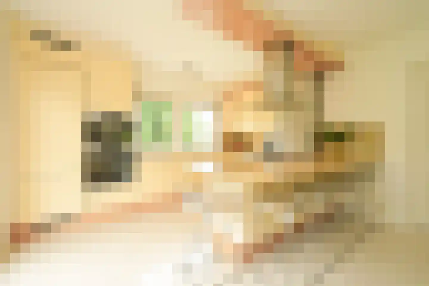Tedingeroord 42 Den Haag thumbnail 21