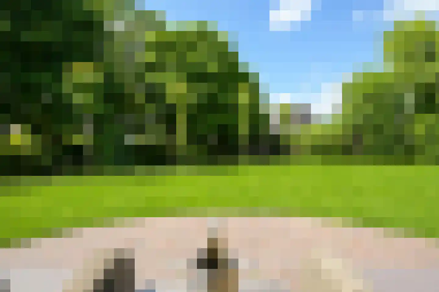 Tedingeroord 42 Den Haag thumbnail 31