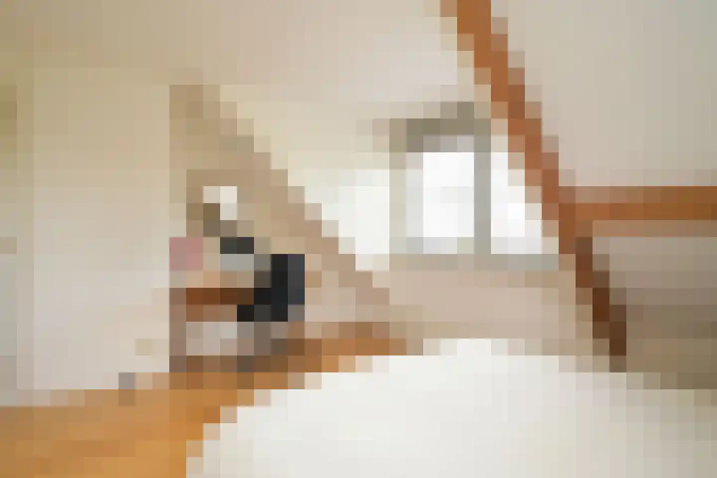 Tedingeroord 42 Den Haag thumbnail 45