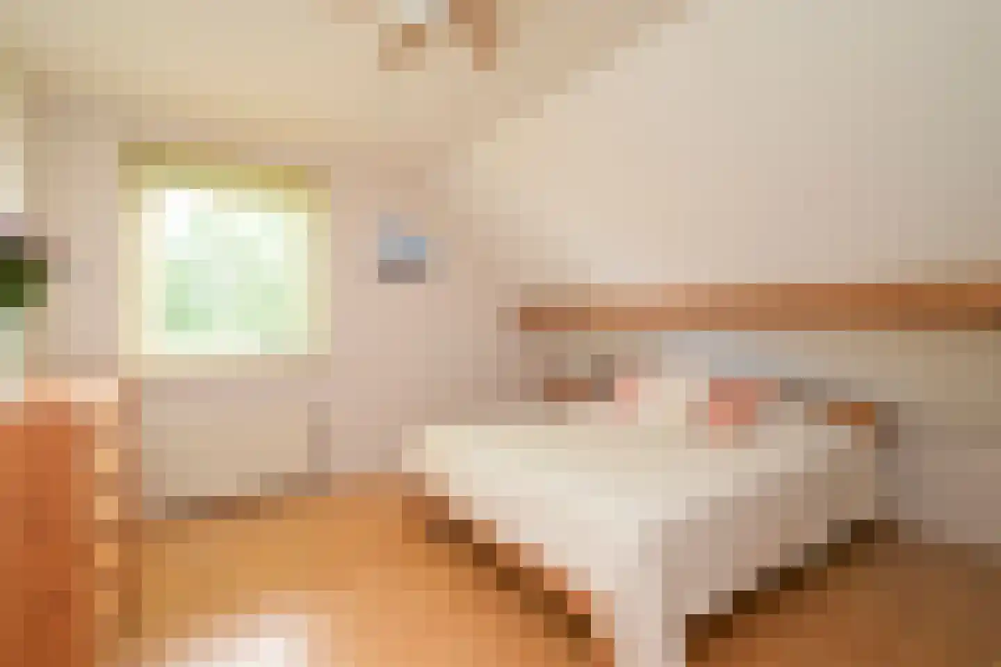 Tedingeroord 42 Den Haag thumbnail 46