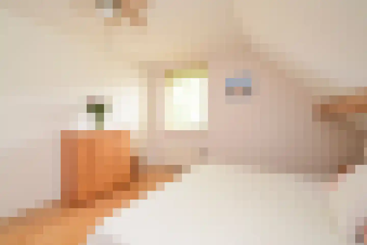 Tedingeroord 42 Den Haag thumbnail 47