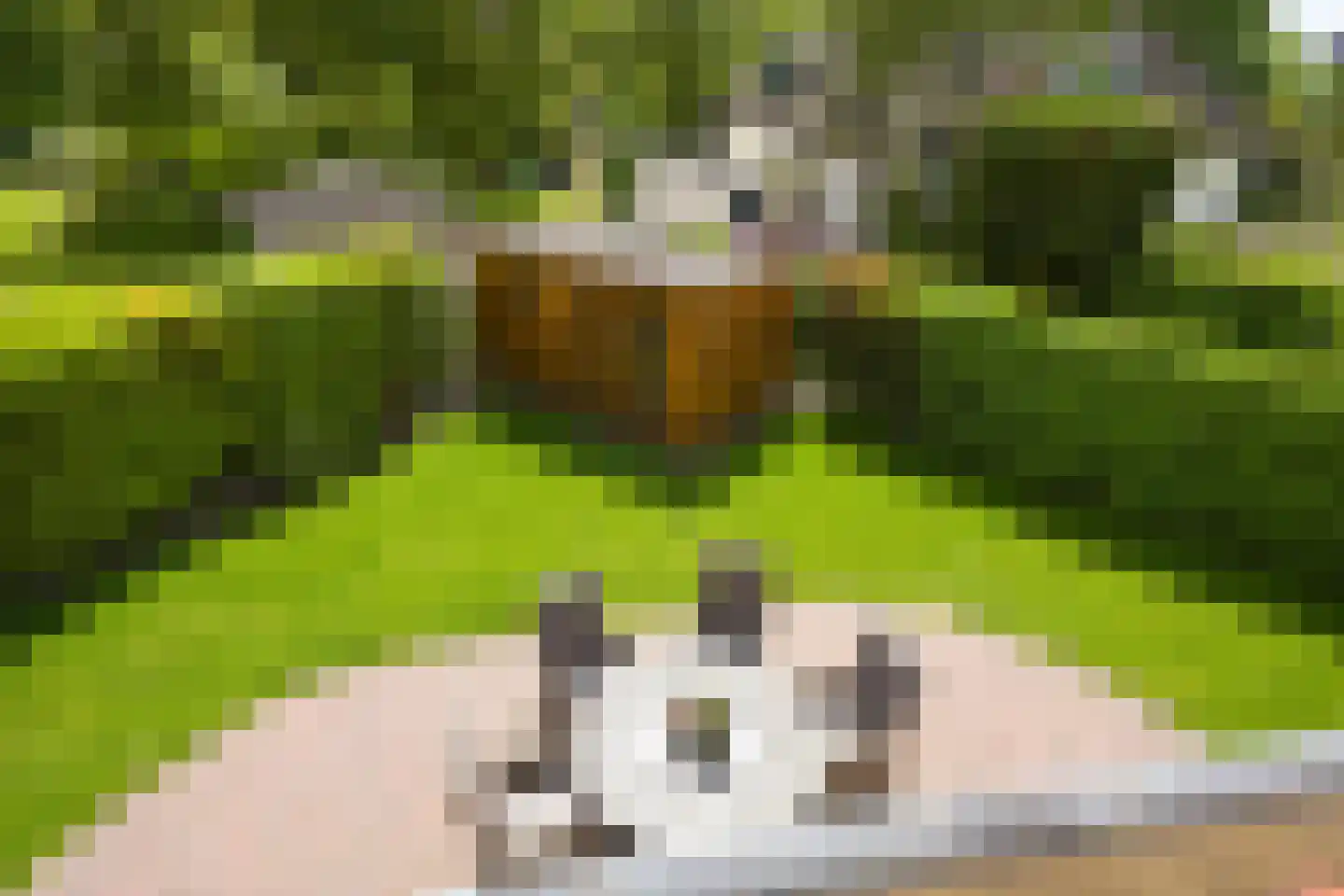 Tedingeroord 42 Den Haag thumbnail 49