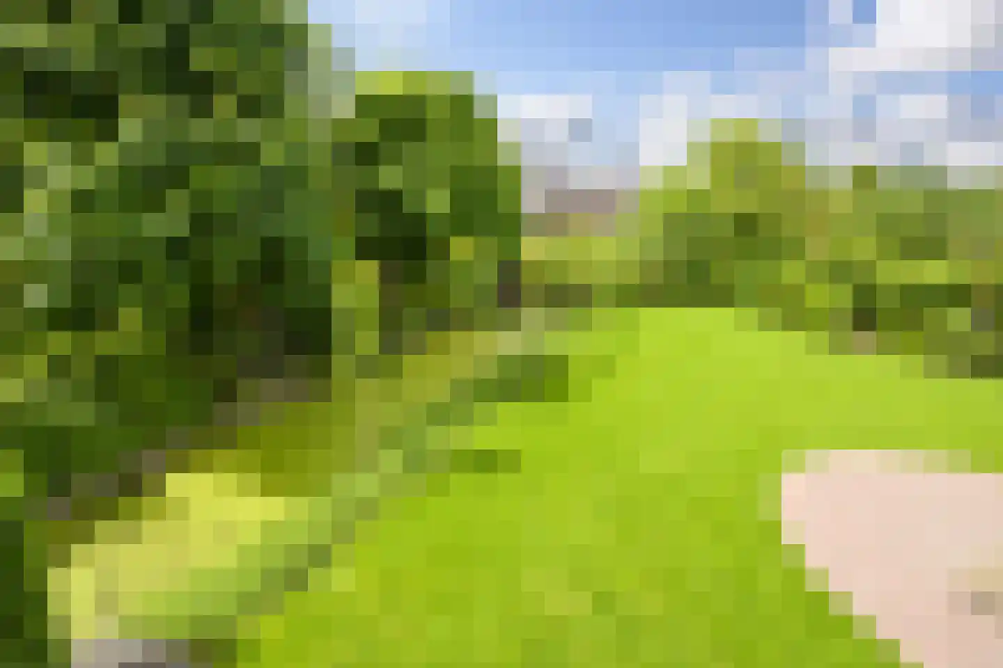 Tedingeroord 42 Den Haag thumbnail 55