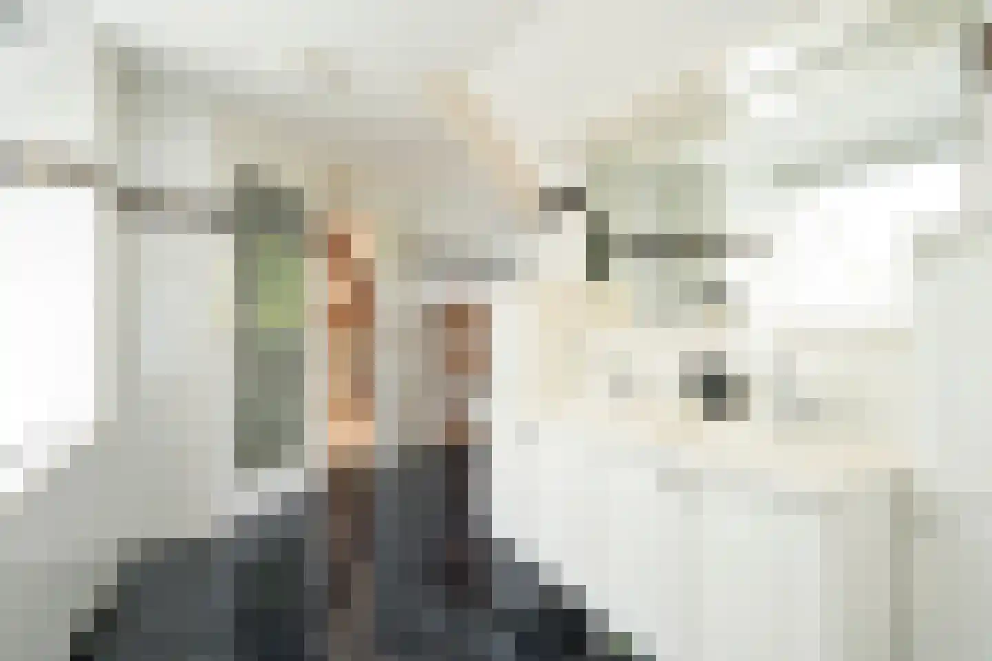 Tedingeroord 42 Den Haag thumbnail 56