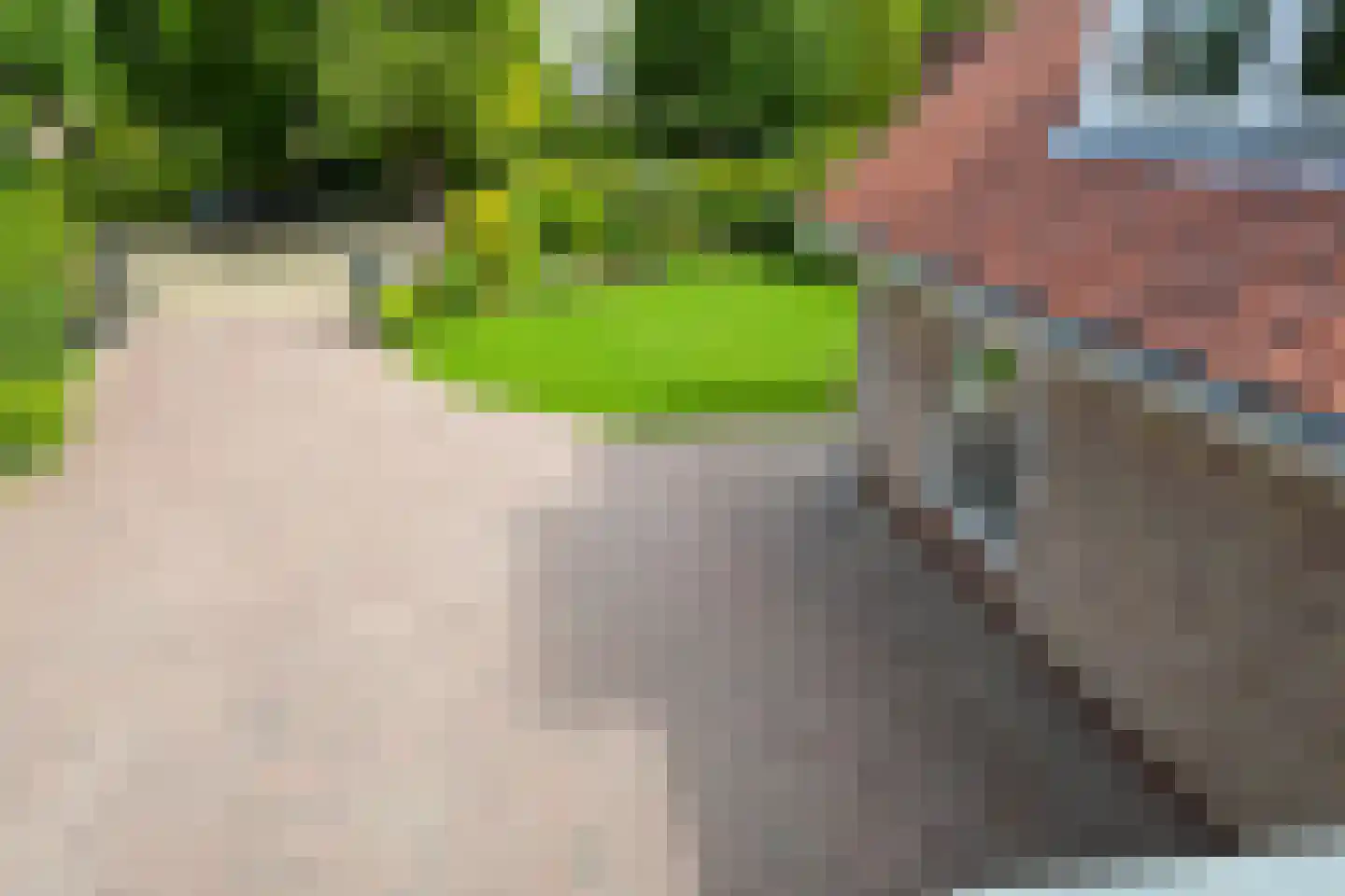 Tedingeroord 42 Den Haag thumbnail 62