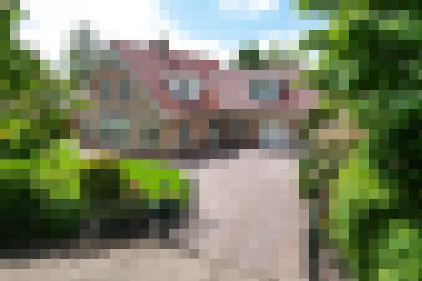 Tedingeroord 42 Den Haag thumbnail 70