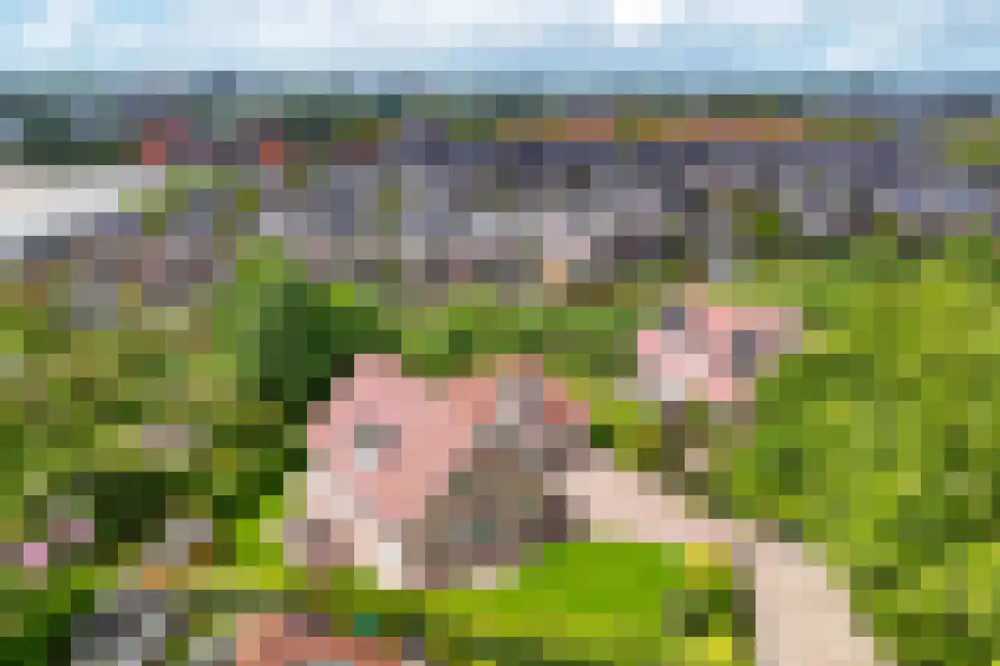 Tedingeroord 42 Den Haag thumbnail 71