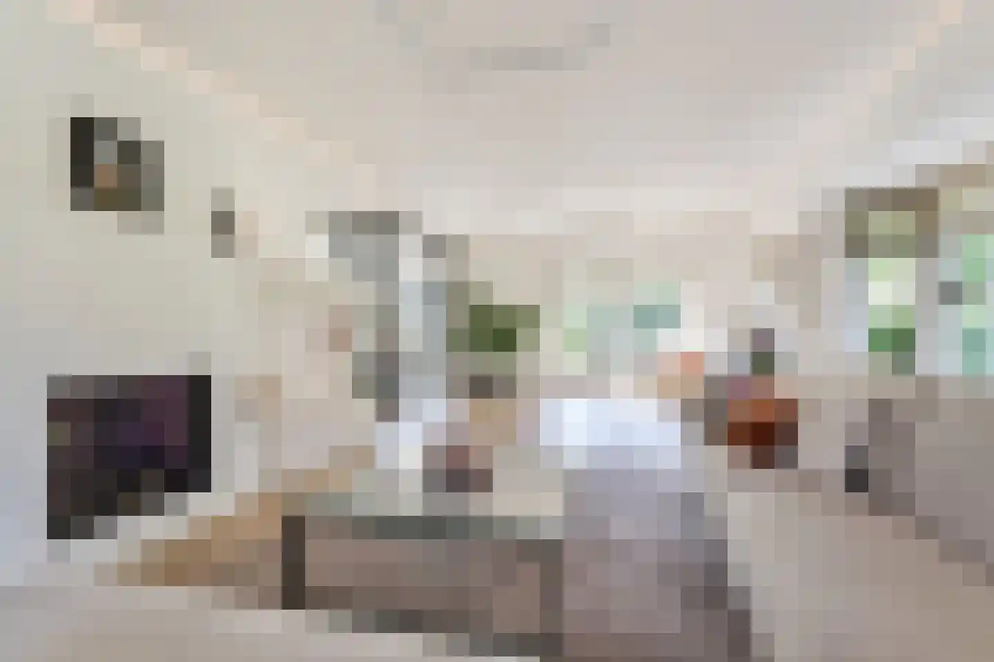 Tedingeroord 43 Den Haag thumbnail 15