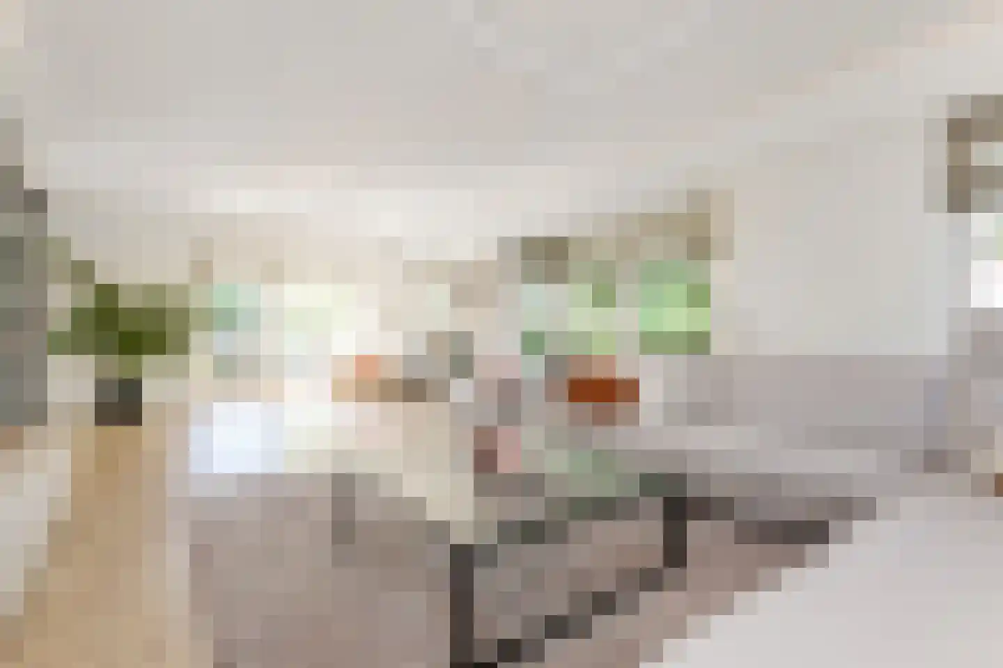 Tedingeroord 43 Den Haag thumbnail 16