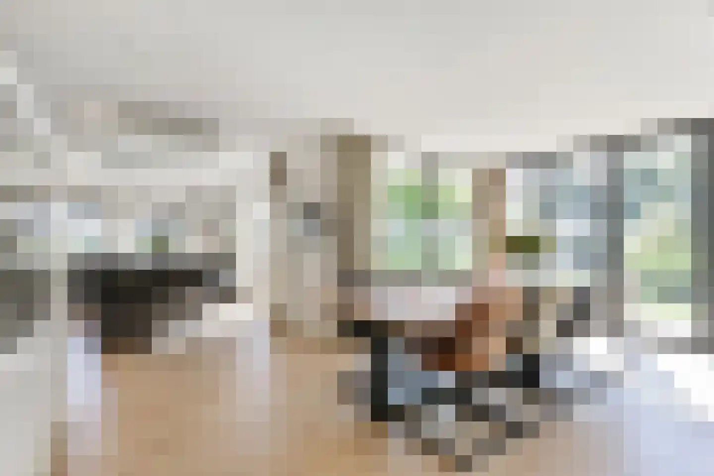 Tedingeroord 43 Den Haag thumbnail 18