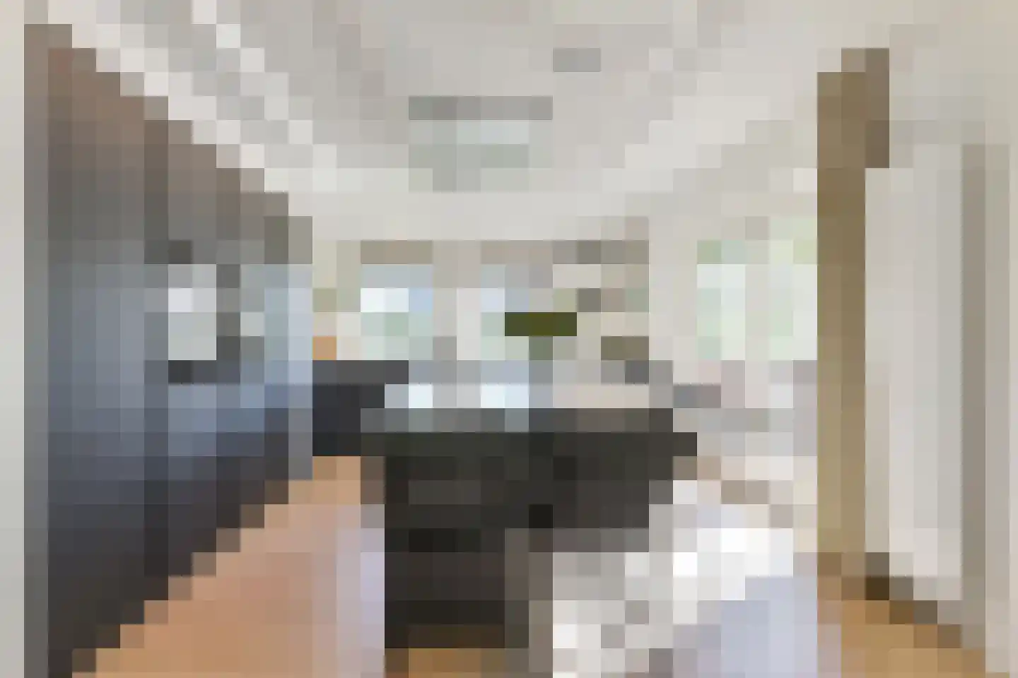 Tedingeroord 43 Den Haag thumbnail 21