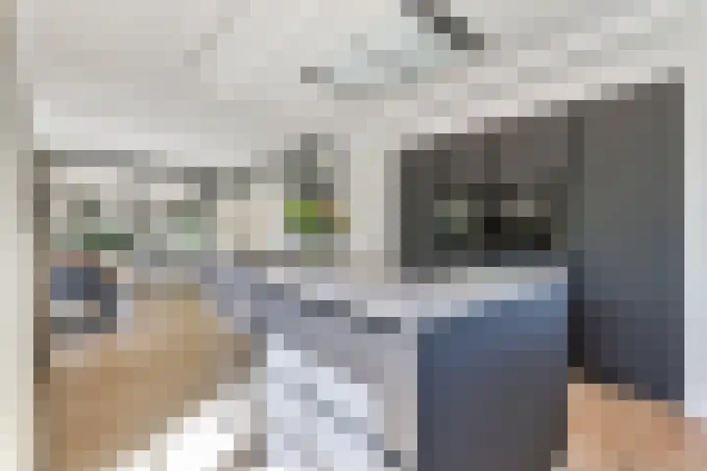 Tedingeroord 43 Den Haag thumbnail 23