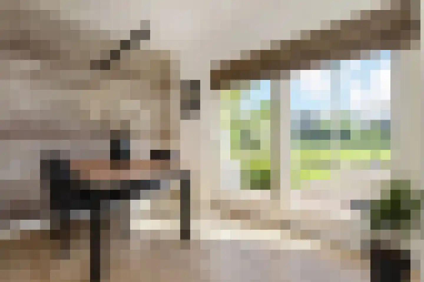 Tedingeroord 43 Den Haag thumbnail 27