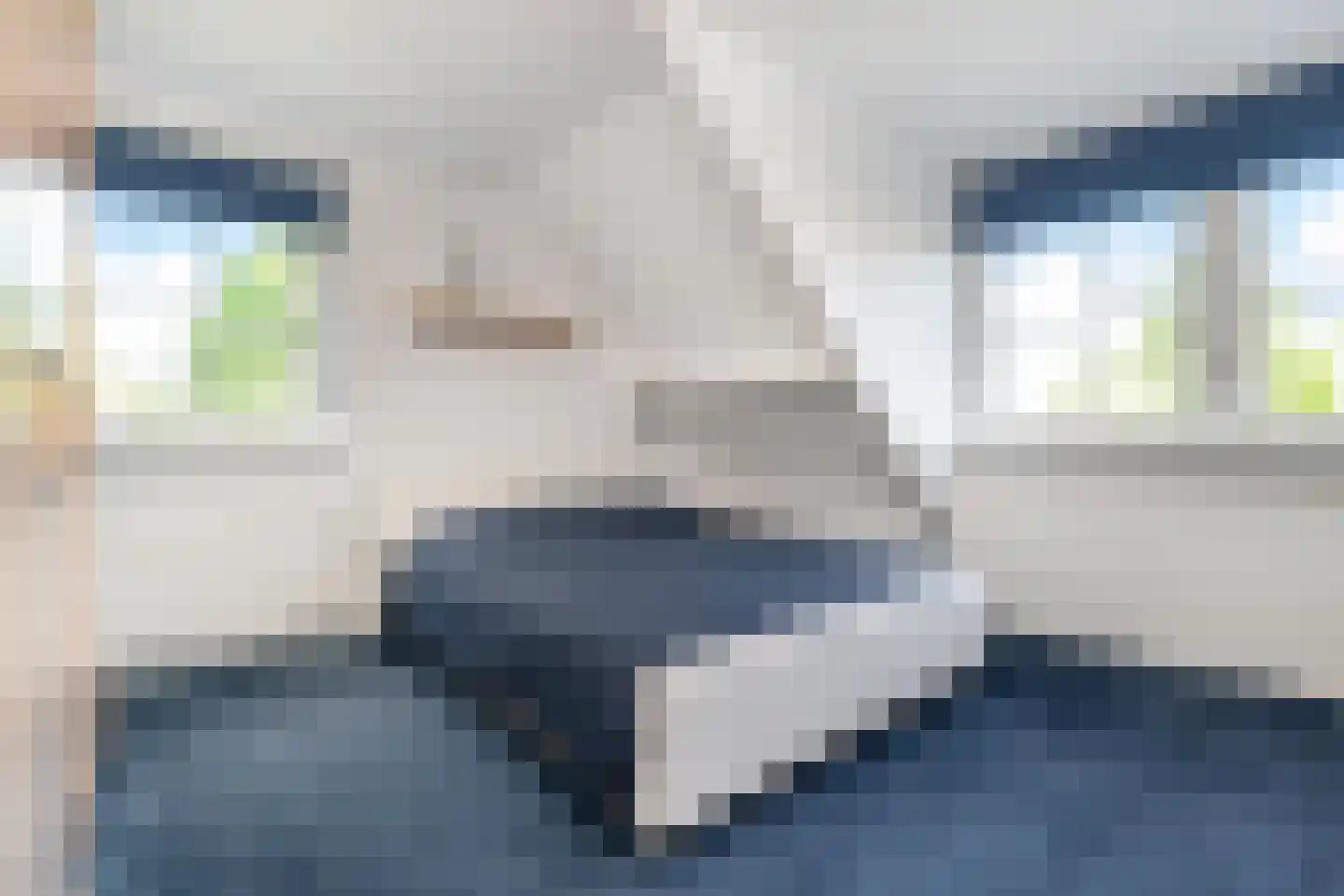 Tedingeroord 43 Den Haag thumbnail 34