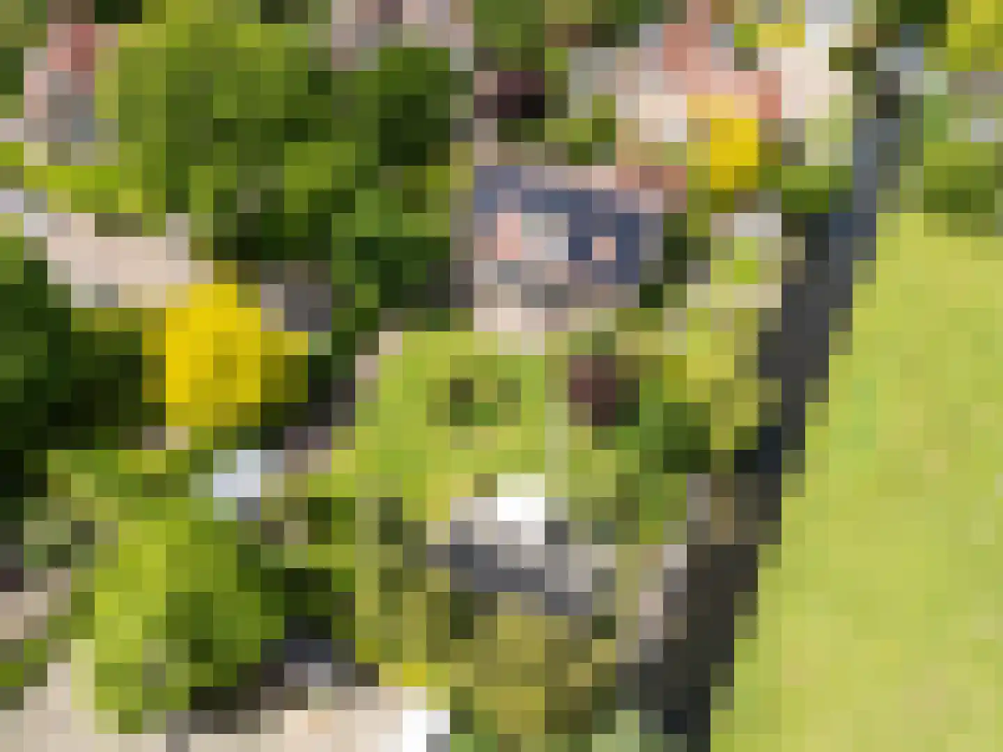 Tedingeroord 43 Den Haag thumbnail 4