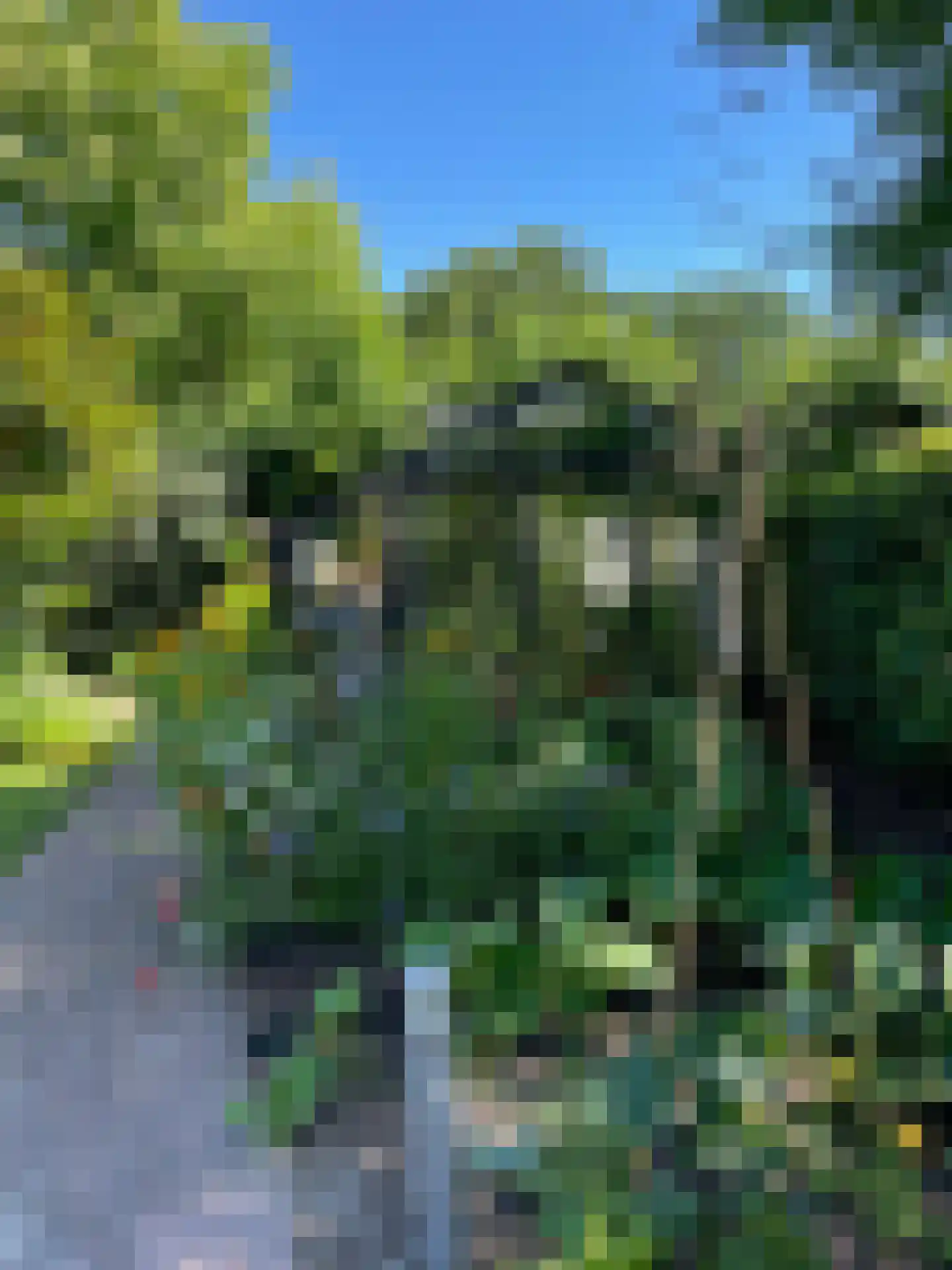 Tedingeroord 43 Den Haag thumbnail 43