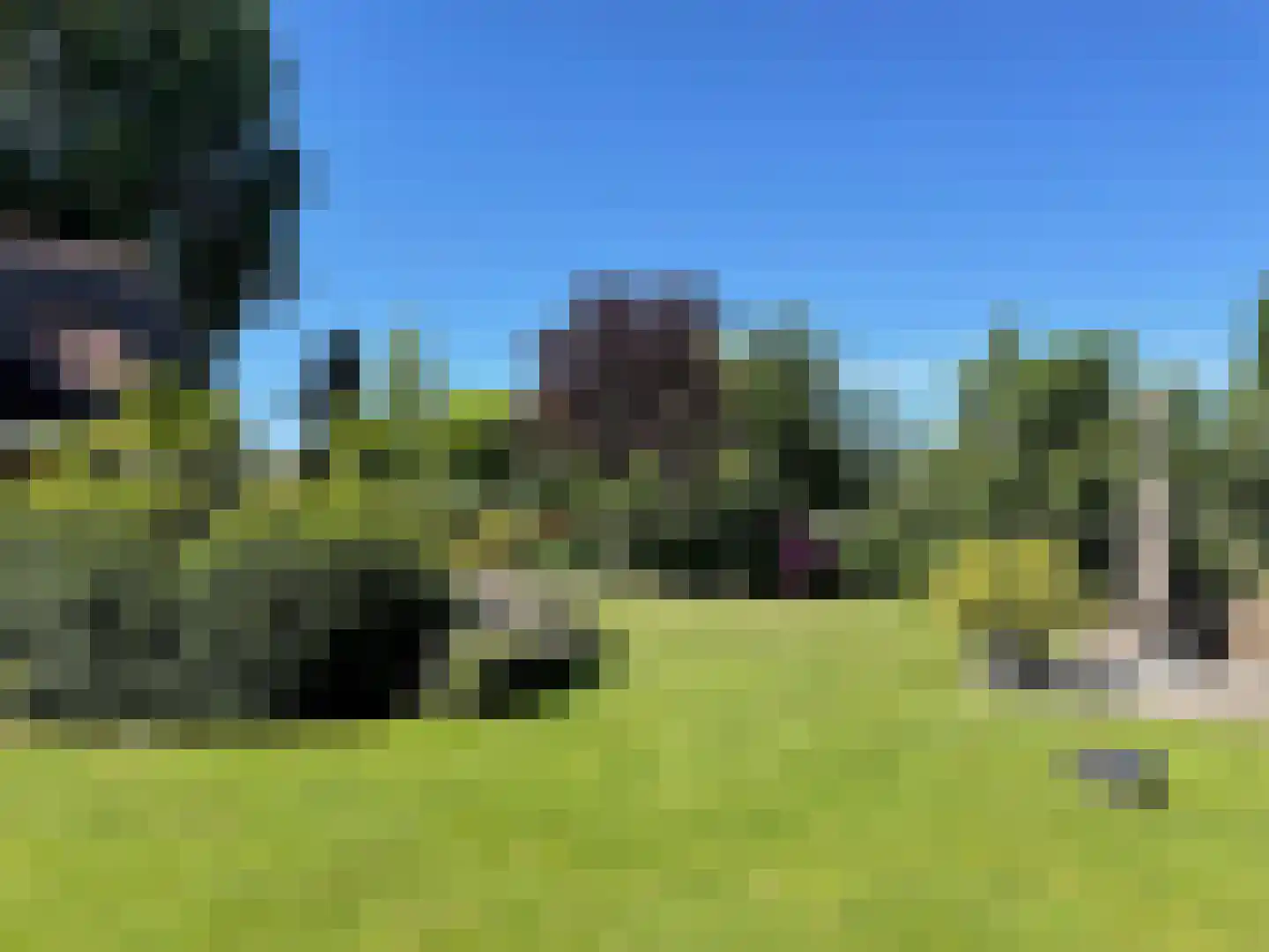 Tedingeroord 43 Den Haag thumbnail 44