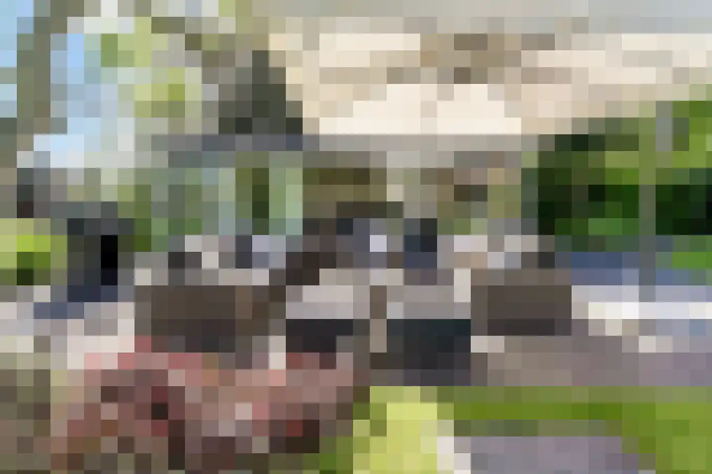 Tedingeroord 43 Den Haag thumbnail 45