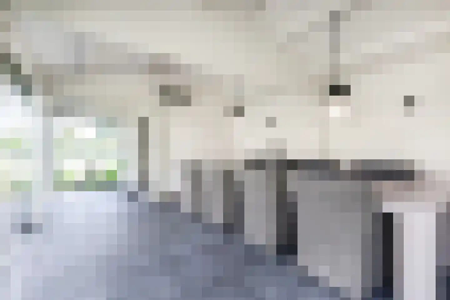 Tedingeroord 43 Den Haag thumbnail 48