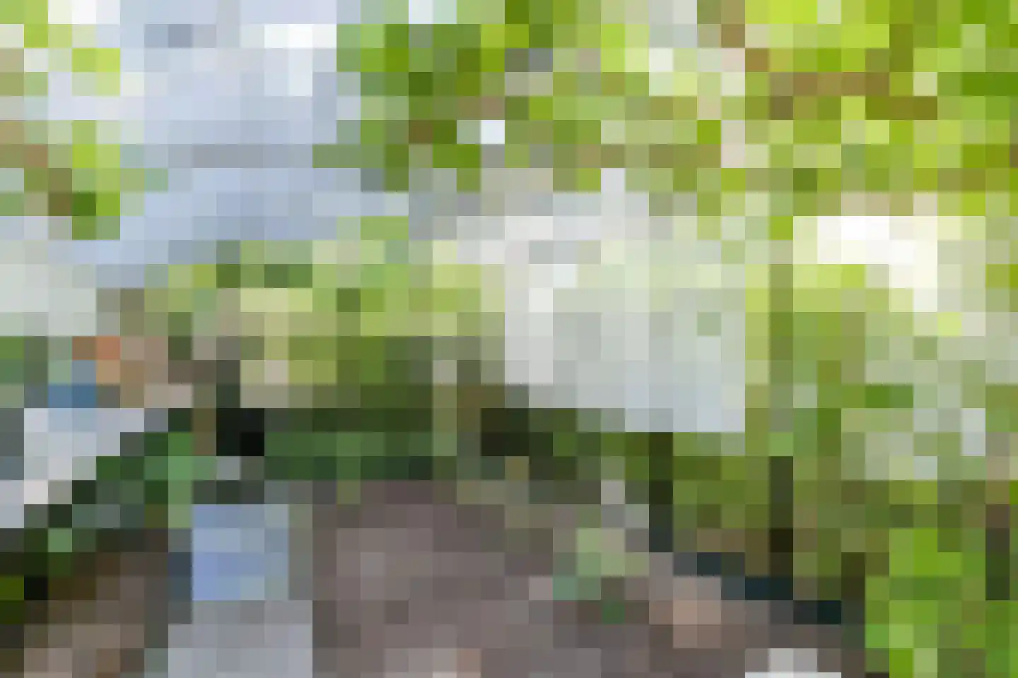 Tedingeroord 43 Den Haag thumbnail 51