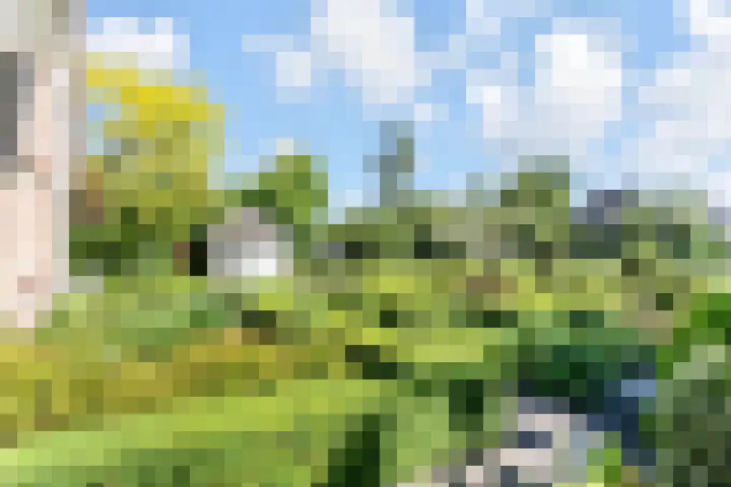 Tedingeroord 43 Den Haag thumbnail 57