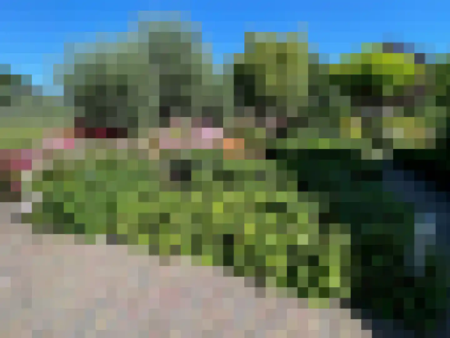 Tedingeroord 43 Den Haag thumbnail 60