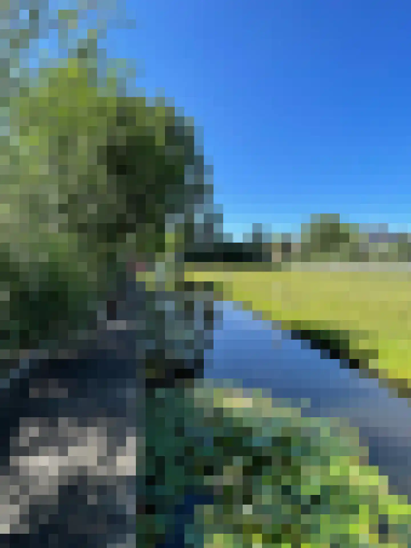 Tedingeroord 43 Den Haag thumbnail 65