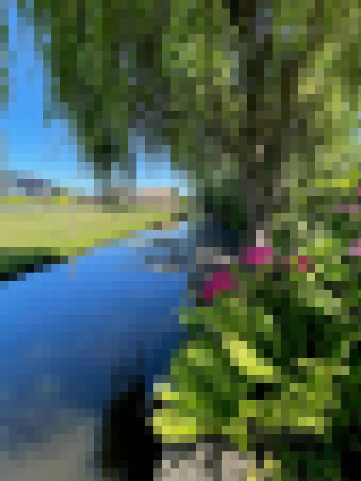 Tedingeroord 43 Den Haag thumbnail 66