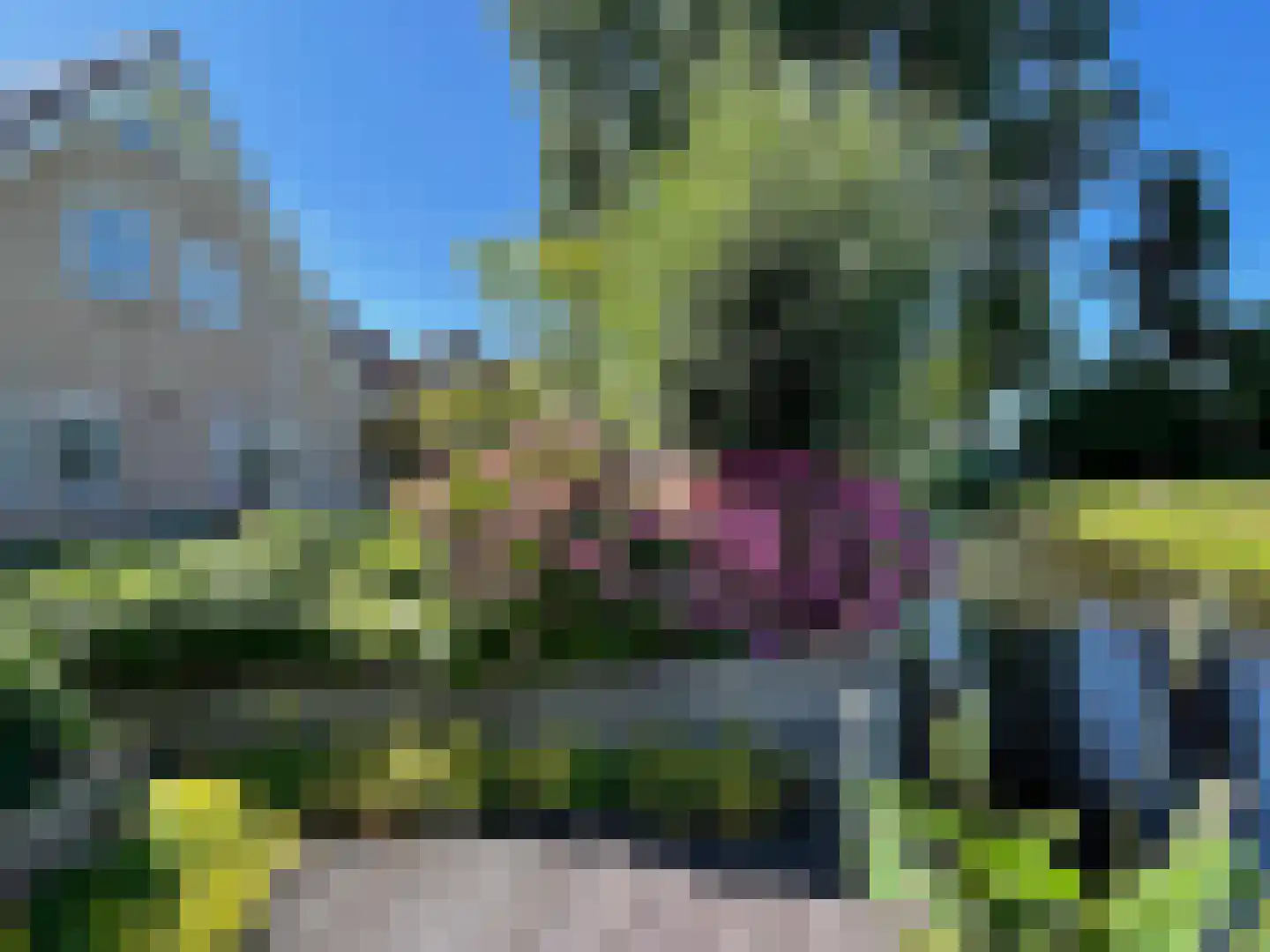 Tedingeroord 43 Den Haag thumbnail 68